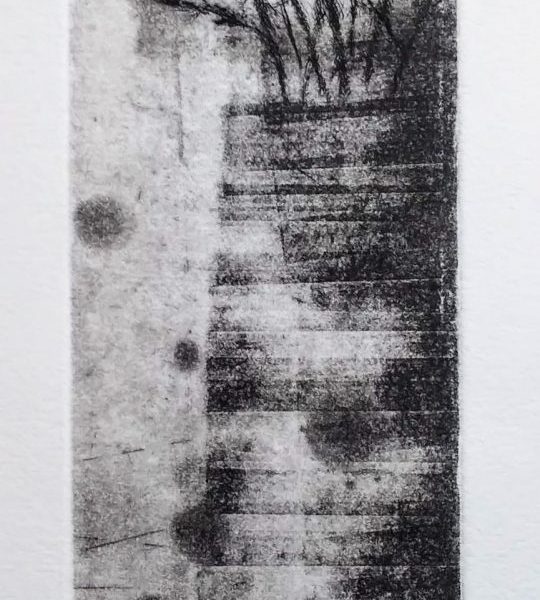 <scane>
2017
銅版画